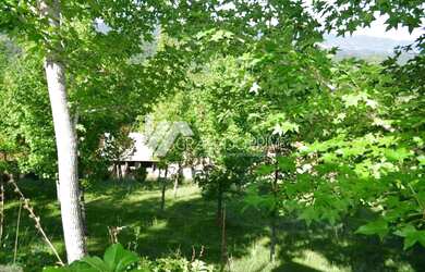 Imagem 16: ÓTIMO SÍTIO EM GRAMADO PARA SE INVESTIR