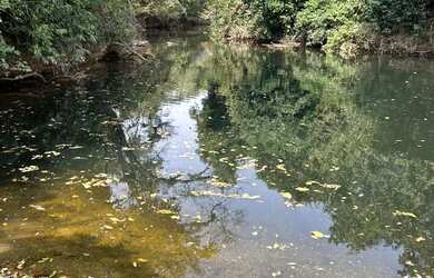 Imagem: A chácara está localizado em Jaboticatubas, MG à venda por