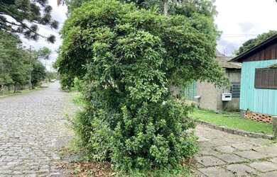 Imagem 5: Terreno - Bairro Centro. 500m² de Área