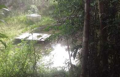 Imagem 12: VENDO LINDA FAZENDA EM STA CRUZ CABRALIA pertinho de PORTO SEGURO - BA