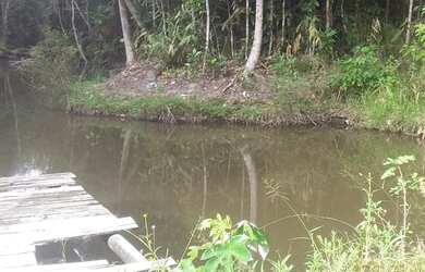 Imagem 13: VENDO LINDA FAZENDA EM STA CRUZ CABRALIA pertinho de PORTO SEGURO - BA