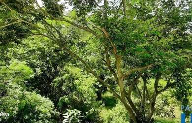 Imagem 10: CASA EM CONDOMÍNIO - RESIDENCIAL NEW VILLE - SP