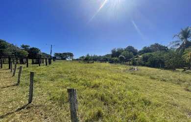 Imagem 14: Fazenda/Sítio a venda com 30Alq. quot 145,2Ha. quot Fazenda Nova/Go