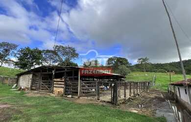 Imagem 1: Fazenda 31,5 alqueires 153 hectares em Hidrolândia - GO