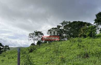 Imagem 15: Fazenda 31,5 alqueires 153 hectares em Hidrolândia - GO