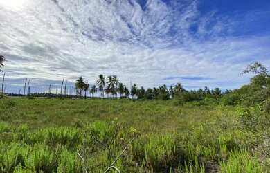 Imagem 4: Terreno 13.085m2 em Tourinhos - São Miguel do Gostoso/RN