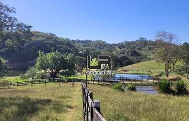 Imagem 12: Fazenda de 23.5 Alqueires a 105 km de Goiânia pega 50 em trama