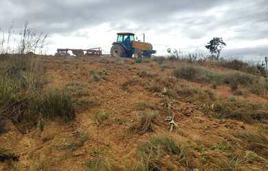 Imagem 4: FAZENDA À VENDA OU ARRENDAMENTO COM 55 HECTARES, NO ALTO PARANAÍBA