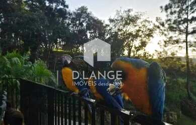 Imagem 14: Terreno à venda no bairro Joaquim Egídio em Campinas