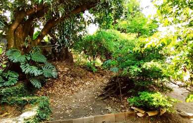 Imagem 11: Lote em Betim, Cruzeiro, 196 mil