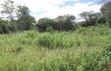 Imagem: A chácara e está localizado em Jaboticatubas, MG à venda