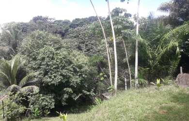 Imagem: O terreno está localizado em Salvador, BA à venda por