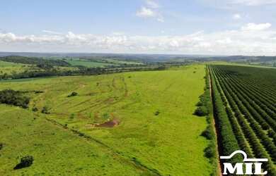 Imagem 2: Fazenda 34 alqueires 164,56 hectares Abadiânia - GO