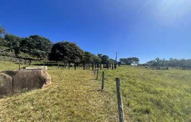 Imagem 12: Fazenda/Sítio a venda com 30Alq. quot 145,2Ha. quot Fazenda Nova/Go