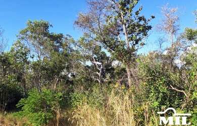 Imagem: A fazenda está localizado em Uruçuí, PI à venda por R$8.540.700