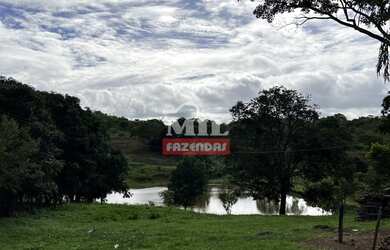 Imagem 5: Fazenda 31,5 alqueires 153 hectares em Hidrolândia - GO