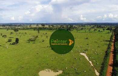 Imagem: Fazenda à venda, 1.000 hectares por R$ 35.000.000 - Centro