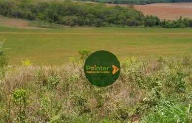 Imagem 7: Fazenda à venda, 10696400 m² por R$ 95.000.000,00 - Zona Rural - Palestina...