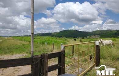 Imagem 2: Fazenda em São Felix do Xingu-PA. 5.005 Há. Soja ou Boi