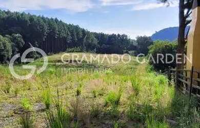 Imagem 14: SÍTIO À VENDA, 5600 M² - SERRA GRANDE - GRAMADO/RS