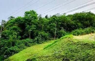 Imagem 3: Terreno para Venda em Nova Petrópolis, Vila Olinda