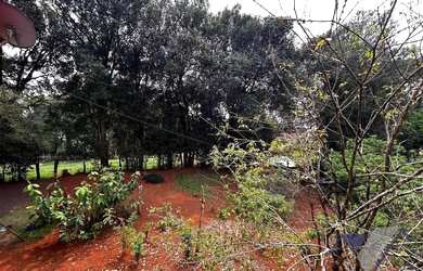 Imagem 16: Área à venda, 247900 m² por R$ 3.000.000,00 - Paris - Guaraniaçu/PR