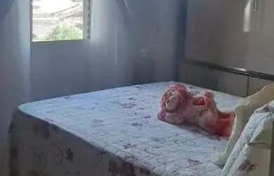 Imagem 10: VISTA BELA Apartamento com 2 dormitórios