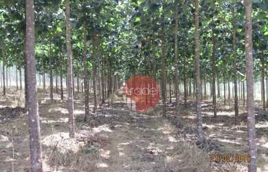 Imagem 9: Fazenda com 1 dormitório à venda, 8820000 m² por R$ 22.000.000,00 -...