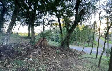 Imagem 7: Terreno - Bairro Quinta da Serra
