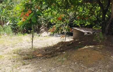 Imagem 3: Terreno urbano. 3.198m² de Área