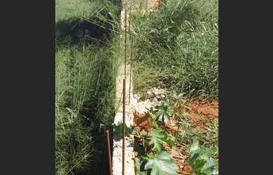 Imagem 5: TERRENO JD EUROPA. 