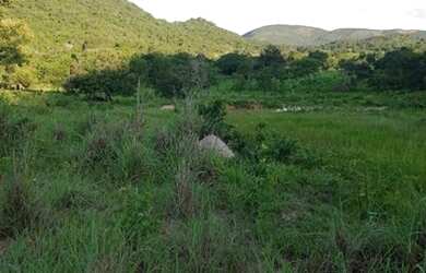 Imagem 4: Fazenda/Sítio a venda com 30Alq. quot 145,2Ha. quot Fazenda Nova/Go