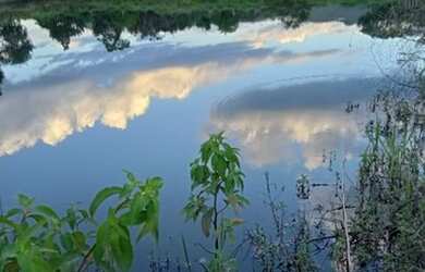 Imagem 2: Fazenda/Sítio a venda com 30Alq. quot 145,2Ha. quot Fazenda Nova/Go