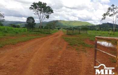 Imagem 8: Fazenda em São Felix do Xingu-PA. 5.005 Há. Soja ou Boi