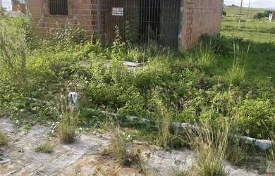 Imagem: A casa possui 3 Dormitórios, 2 Banheiros, 1 Vaga na garagem