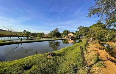 Imagem 6: Chácara de luxo em Trindade-Go 7.68 alqueires