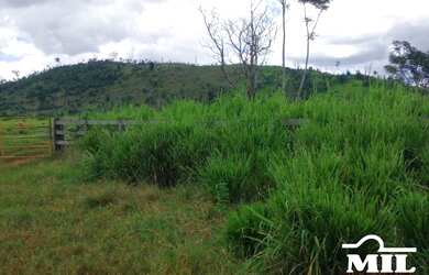 Imagem 7: Fazenda em São Felix do Xingu-PA. 5.005 Há. Soja ou Boi