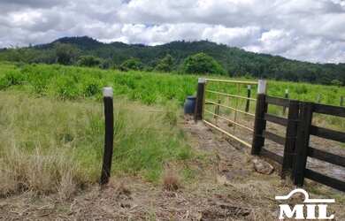 Imagem 4: Fazenda em São Felix do Xingu-PA. 5.005 Há. Soja ou Boi