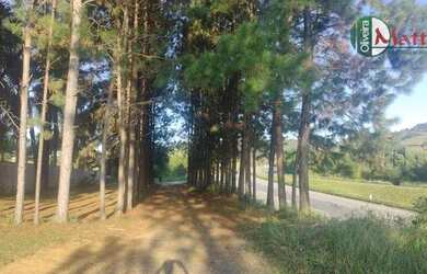 Imagem 10: Terreno à venda, 5000 m² por R$ 1.600.000 - São Pedro - Jf