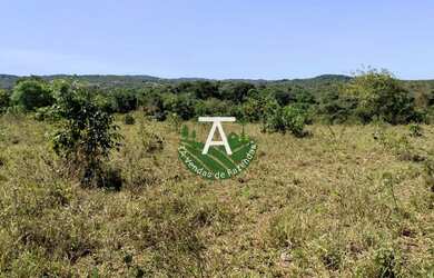 Imagem 15: Fazenda no Faina GO 38 alq