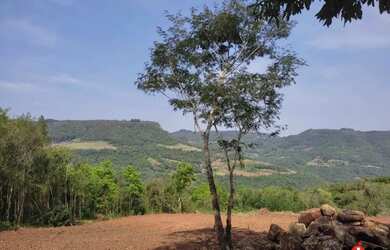 Imagem 12: Sítio / Chácara para Venda em Nova Petrópolis, Linha Brasil Fundos