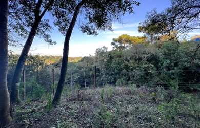 Imagem 9: Terreno - Bairro Quinta da Serra