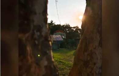 Imagem 15: LINDA CHÁCARA 1.100m2 COM CASA - TRANQUILIDADE, NATUREZA, ÁRVORES FRUTÍFERAS