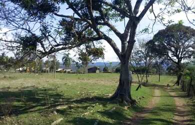 Imagem 15: Área - Bairro Várzea Grande