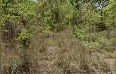 Imagem 3: FAZENDA - 1.500 HECTARES. 15.000.000m² de Área