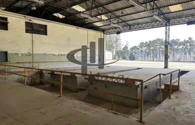 Imagem 2: Locação Galpão Sao Paulo Centro Ref 39197