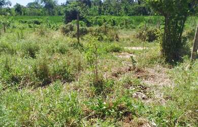 Imagem: O terreno possui 800m² de Área e está localizado em Esplanada