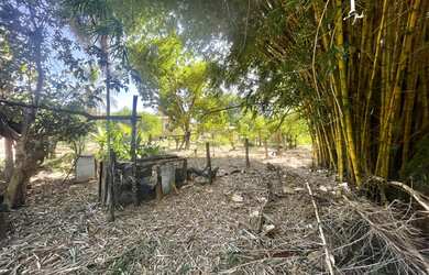 Imagem 10: Fazenda/Sítio a venda com 30Alq. quot 145,2Ha. quot Fazenda Nova/Go