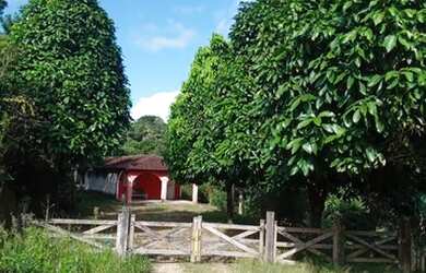 Imagem: A fazenda está localizado em Boa Vista, Gravatá à venda por