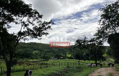 Imagem 6: Fazenda 31,5 alqueires 153 hectares em Hidrolândia - GO